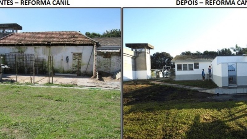 Imagem do antes e depois da reforma do canil