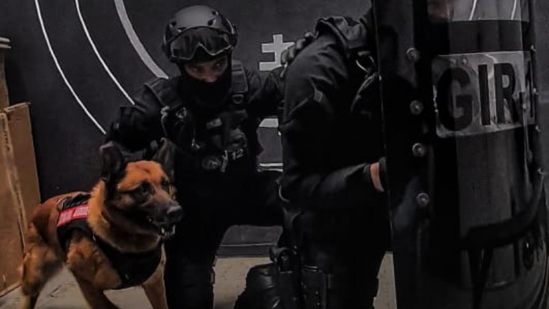 Imagem do grupamento com o cão