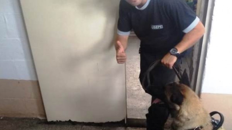Imagem do agente com o cão
