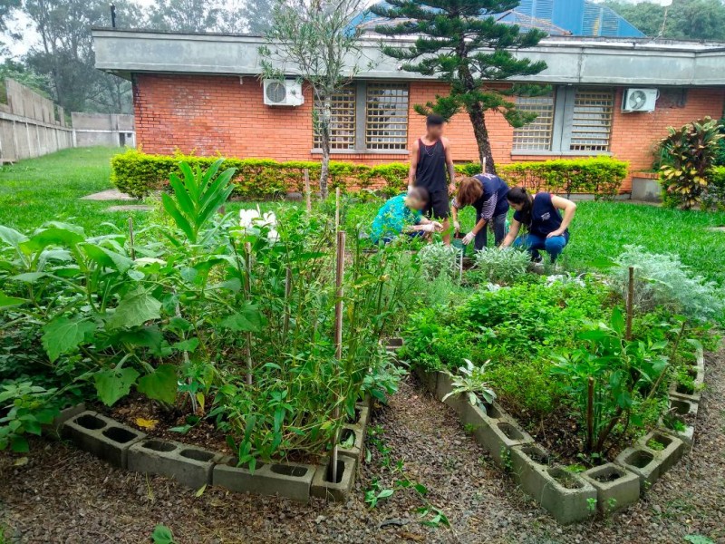 Cultivo e utilização de produtos naturais